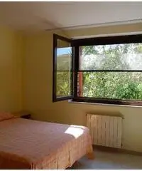 Libero agosto Libero agosto