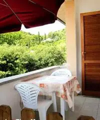 Appartamento 5/7 posti letto Fetovaia Elba Appartamento 5/7 posti letto Fetovaia Elba