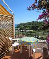 Bilocali 2/4 posti letto Fetovaia isola d'Elba