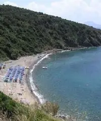 Appartamento Piombino-Last minute Luglio/Agosto