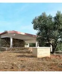 Vacanze nel Salento Vacanze nel Salento