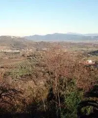 Un bel paesino nel cuore della Toscana, vicino al Mar Tirren