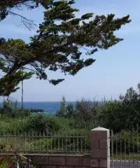 Villino vista mare Villino vista mare
