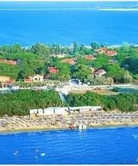 ARGENTARIO GIANNELLA APPARTAMENTO POCHI PASSI DAL MARE ARGENTARIO GIANNELLA APPARTAMENTO POCHI PASSI DAL MARE