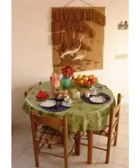 Ischia vacanze al mare