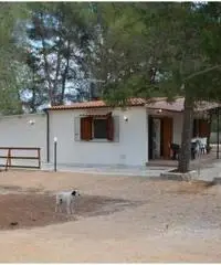 Salento a 13 km da Gallipoli - Casa Vacanze Salento a 13 km da Gallipoli - Casa Vacanze