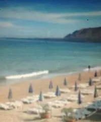 A 350mt DALLA SPIAGGIA CIAMMARITA TRAPPETO (PA) A 350mt DALLA SPIAGGIA CIAMMARITA TRAPPETO (PA)