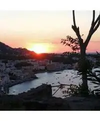 Vacanza a Ischia per single over 45
