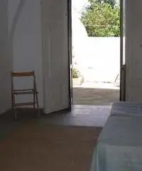 Ventotene appartamento centro fitto