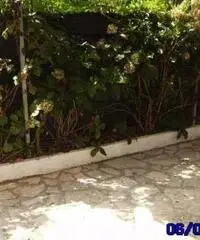 Affitto casa con giardinetto e posti auto a Sperlonga