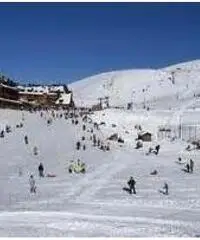 Settimana bianca 500