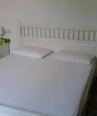 Isola d elba a PROCCHIO a 50 passi dal mare Isola d elba a PROCCHIO a 50 passi dal mare