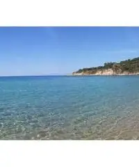 ISOLA D'ELBA OFFERTISSIME LAST MINUTE GRAZIOSO BILOCALE ISOLA D'ELBA OFFERTISSIME LAST MINUTE GRAZIOSO BILOCALE