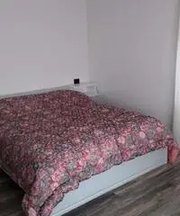 TRENTINO VAL DI SOLE DIMARO APPARTAMENTI VACANZE