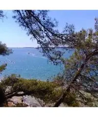 Appartamenti vista mare