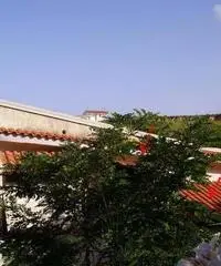 CALABRIA – Belvedere Marittimo (CS) CALABRIA – Belvedere Marittimo (CS)