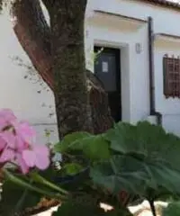 OFFERTE CASE VACANZE LOW COST OFFERTE CASE VACANZE LOW COST