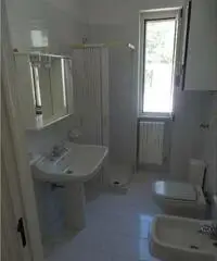 Vieste affitto mono, bilo e trilocali prezzi modici