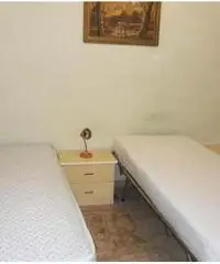 SAN FERDINANDO CALABRIA VACANZA A 250MT DAL MARE SAN FERDINANDO CALABRIA VACANZA A 250MT DAL MARE