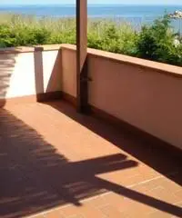 Isola d'Elba sulla spiaggia Isola d'Elba sulla spiaggia