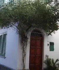 Last Minute SETTEMBRE a FORIO D'ISCHIA