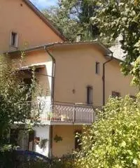 Weekend e feste sul monte amiata funghi e castagne Weekend e feste sul monte amiata funghi e castagne