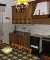 Weekend e feste sul monte amiata funghi e castagne Weekend e feste sul monte amiata funghi e castagne