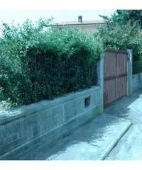 Terreno Campo di Carne