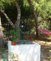 Villetta immersa nel verde a due passi dal mare Villetta immersa nel verde a due passi dal mare
