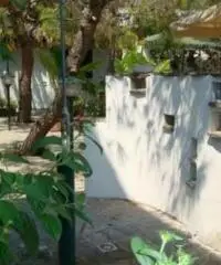 Villetta immersa nel verde a due passi dal mare Villetta immersa nel verde a due passi dal mare