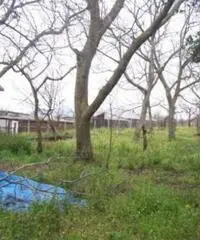 Vendita Trilocale in via caprabianca