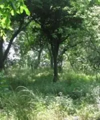 Vendita Trilocale in via caprabianca