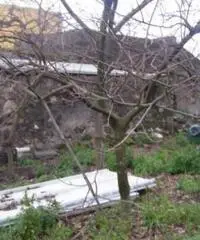 Vendita Trilocale in via caprabianca