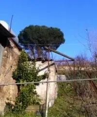 Vendita Agricolo da 2000mq