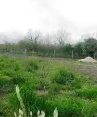 Vendita Agricolo in periferia