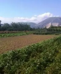 Vendita Agricolo in Via Boscofangone