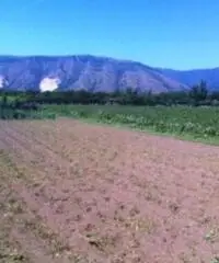 Vendita Agricolo in Via Boscofangone