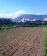 Vendita Agricolo in Via Boscofangone
