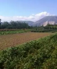 Vendita Agricolo in Via Boscofangone