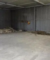 Vendita Agricolo in Strada Provinciale San Vito - Scisciano