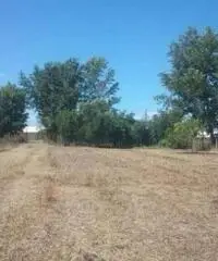 Vendita Agricolo in Via Boscofangone