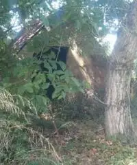 Vendita Agricolo in Via Boscofangone