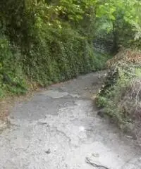Vendita Agricolo in Via Circonvallazione Vendita Agricolo in Via Circonvallazione