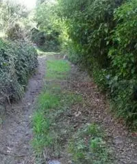 Vendita Agricolo in Via Circonvallazione Vendita Agricolo in Via Circonvallazione