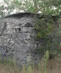 Vendita Agricolo in Via Circonvallazione