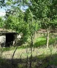 Vendita Agricolo in Via Circonvallazione Vendita Agricolo in Via Circonvallazione