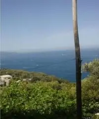 Vendita Agricolo in Largo Vescovado