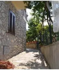 Vendita Multilocale in via monticello