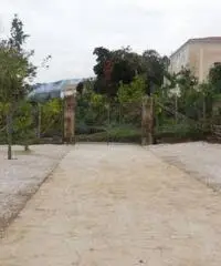 Vendita Agricolo in Via Mortella