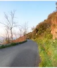 Vendita Agricolo in via IV Novembre